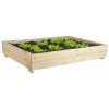 Vyvýšený záhon dřevěný L Baby Mix 120x80x20 cm (Barva Transparentní)