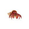 Krab poustevník zooted plast 7cm