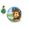 Míč Paw Patrol nafouknutý 14 cm v síťce