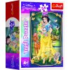 Minipuzzle Krásné princezny/Disney Princess 54dílků 4 druhy v krabičce 6x9x4 cm (1 ks)