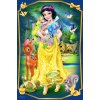 Minipuzzle Krásné princezny/Disney Princess 54dílků 4 druhy v krabičce 6x9x4 cm (1 ks)