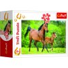 Minipuzzle 54 dílků Koně 4 druhy v krabičce 9x6,5x4 cm (1 ks)
