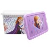 ÚLOŽNÝ BOX FROZEN (Velikost uni)