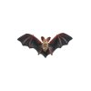Netopýr velkouchý zooted plast 11cm
