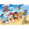 puzzle clementoni 40to80 pieces paw patrol 60 pieces 1699867806