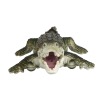 R:C Krokodýl zelený 6