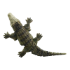 R:C Krokodýl zelený 3