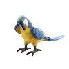Papoušek modrý