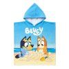 144553 030 bluey