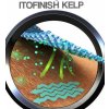 Speciální tvarující kalhotky PROSKIN Push-up - béžové, vel. S/36, Be MaaMaa (Velikosti těh moda S (36))