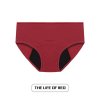 Menstrual Panties for Women Leak Proof Briefs Cotton Lingerie Absorbency Comfortable Physiological Underwear Period Underpants.jpg 640x640 (2)
