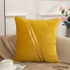 Velvet Cushion Cover 45x45cm Luxury Velvet Pillow Cover Decorative Pillow Case for Sofa Design Patchwork Cushion.jpg 640x640 (2)