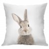 Animal Pillow Cover Printed 45x45 Cushion Cover Decorative Pillows For Sofa Pillow Case Home Decor Easter.jpg 640x640 (2)