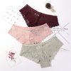 3 Pcs Panties For Woman Underwear Sexy Lace Breathable Female Panty Hollow Transparent Briefs Sexy Underwear.jpg 640x640 (9)