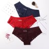 3 Pcs Panties For Woman Underwear Sexy Lace Breathable Female Panty Hollow Transparent Briefs Sexy Underwear.jpg 640x640 (5)