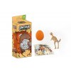 Puzzle 30 dílků dino + vejce s kostrou dinosaura