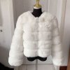 Women s Fashion faux fur coat super hot Autumn Winter women short Faux fox fur fluffy.png 640x640 (4)