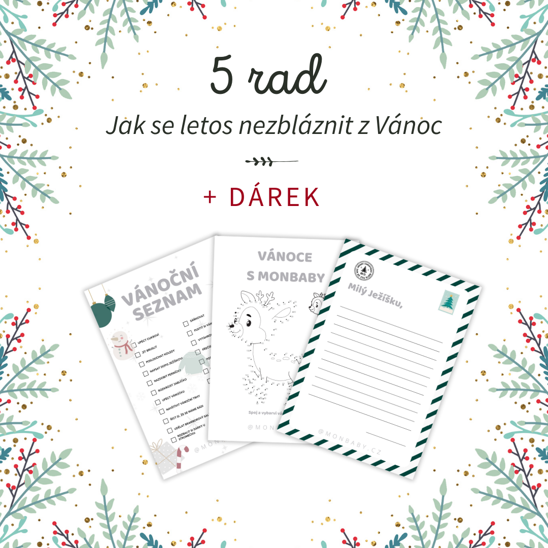 5 tipů, jak se nezbláznit z Vánoc + dárek pro vás