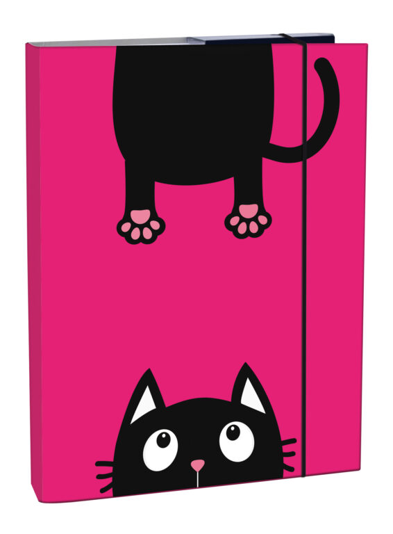 Stil Box na sešity A4 Crazy Kitten