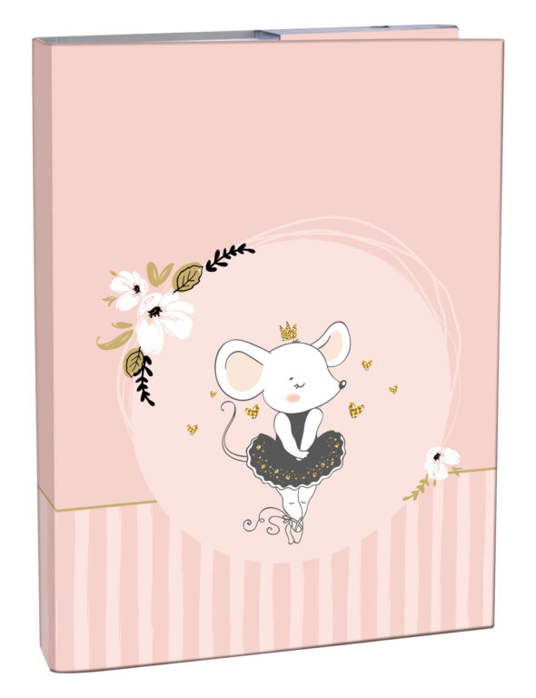 Stil Box na sešity A5 Dancing Mouse