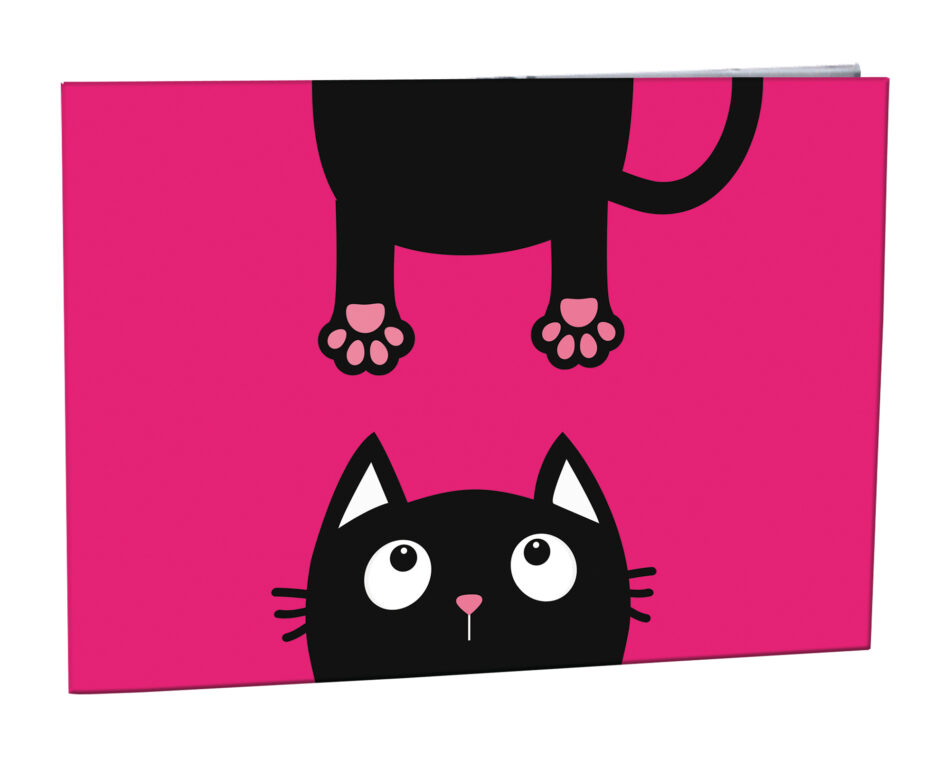 Stil Desky na číslice Crazy Kitten