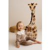 Foxy Family SAFARI 11