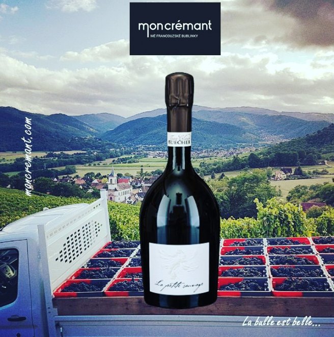 La Petite Sauvage ("malá divoška")