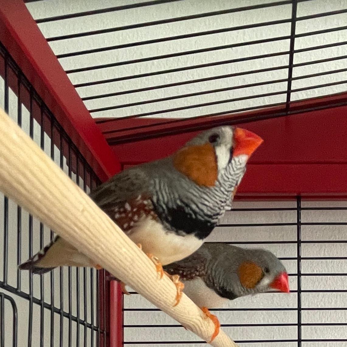 634126503_122322243788010047_3706544467584950918_n