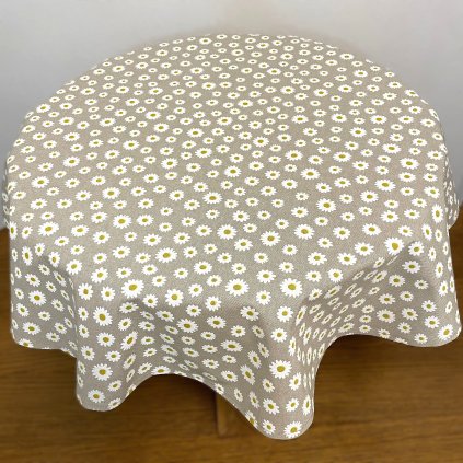 WhatsApp Image 2026 01 25 at 12.02.41