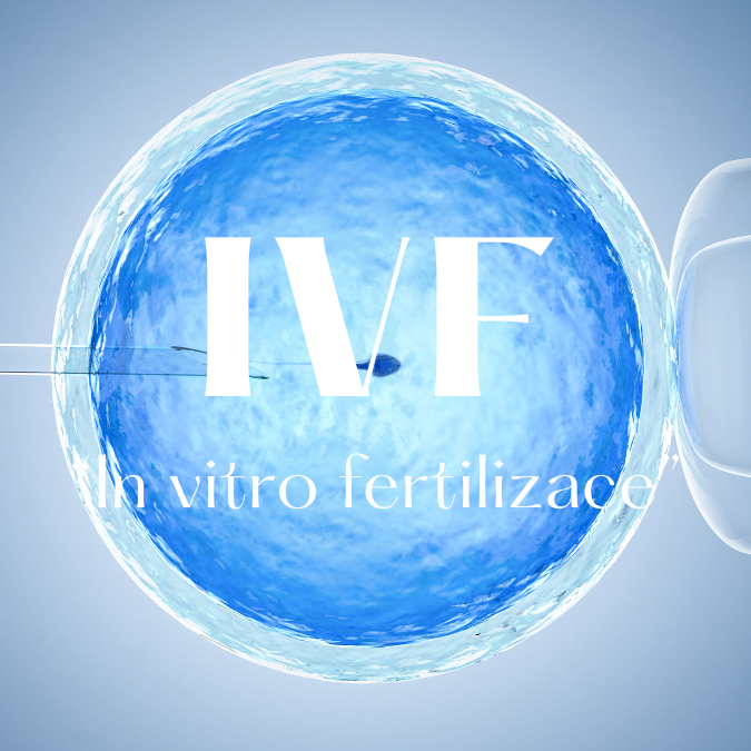 IVF jako cesta k rodičovství aneb vše, co potřebujete vědět o IVF