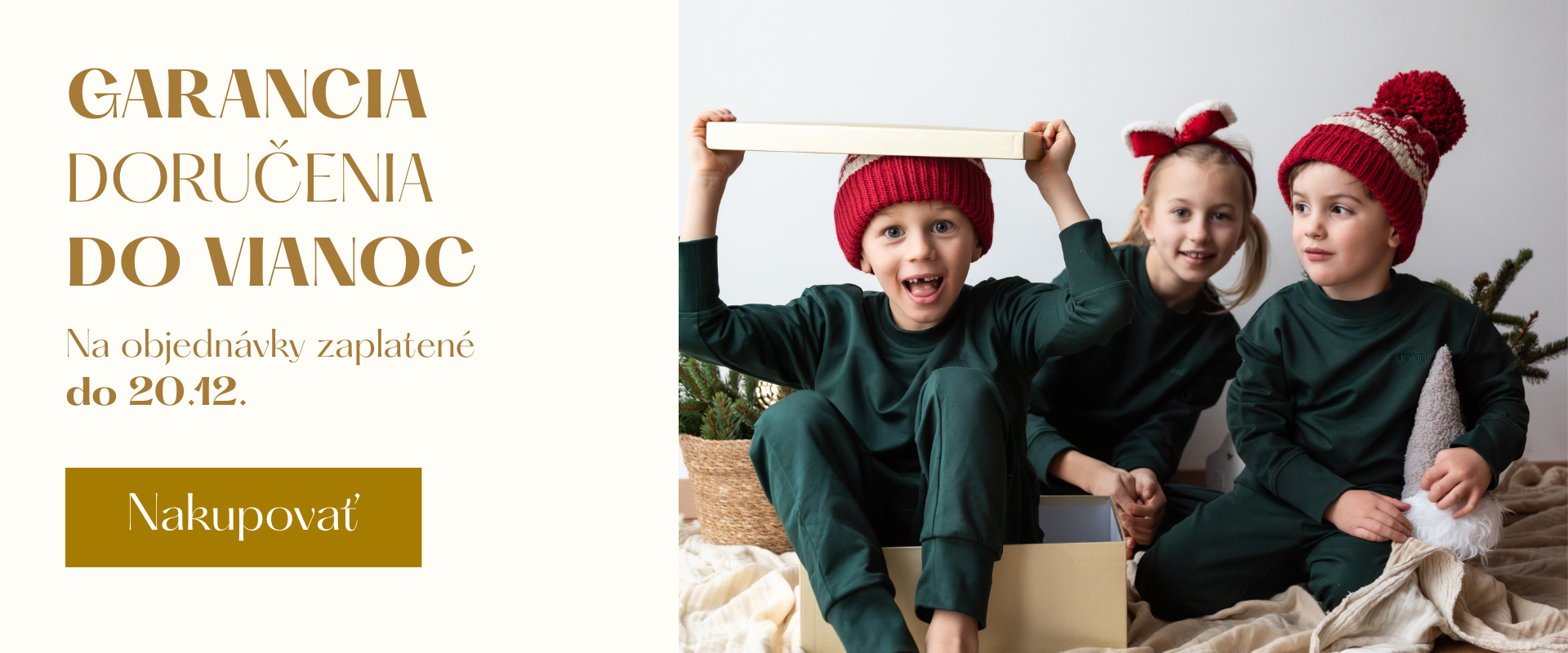 Garancia doručenia do Vianoc na objednávky zaplatené do 20. 12. 2025.