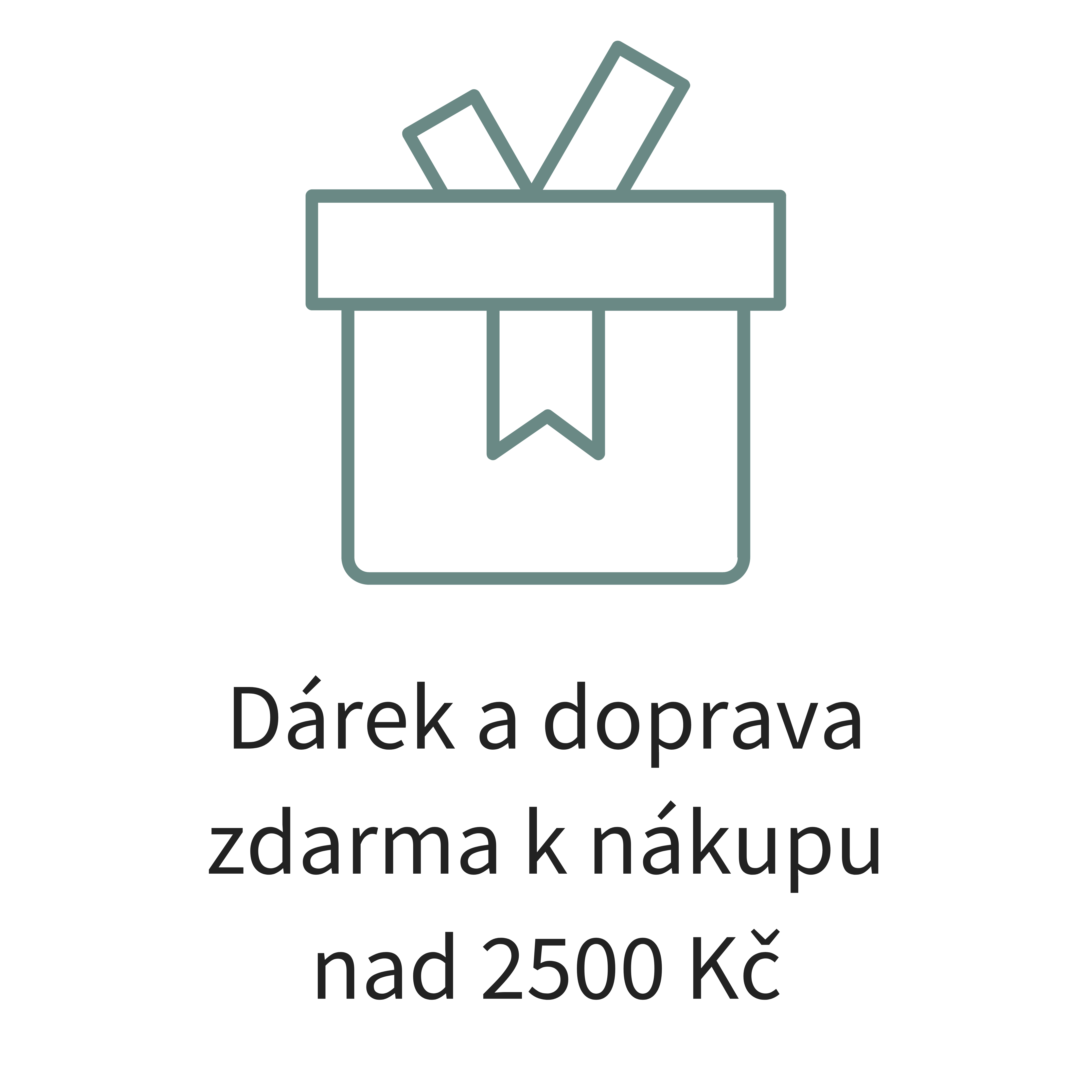 Dárek a doprava zdarma k nákupu nad 2500Kč