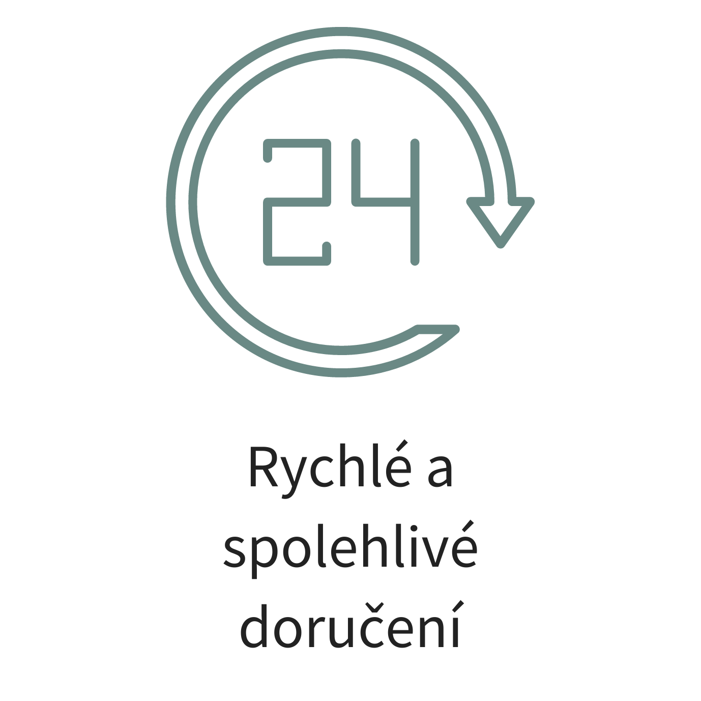 Rychlé a spolehlivé doručení