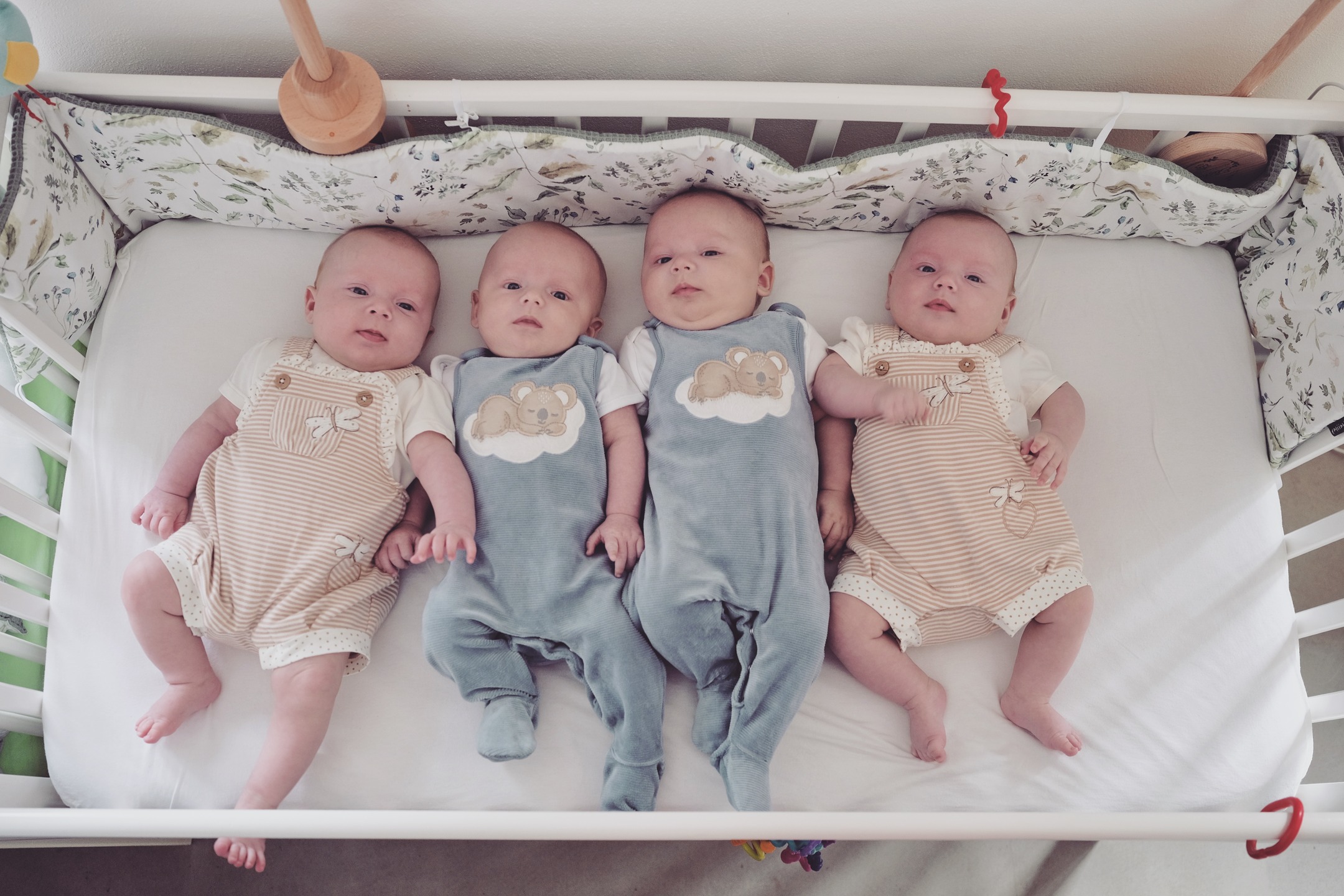 559809094_17844317283587093_1035660635328006603_n