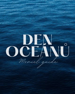 Před nedávnem jsme představili naši novou Navy Blue kolekci s velrybkou. A kdy jindy si připomenout, že velryba na...