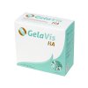 GelaVis20HA 1
