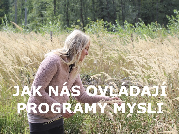 JAK NÁS OVLÁDAJÍ PROGRAMY MYSLI