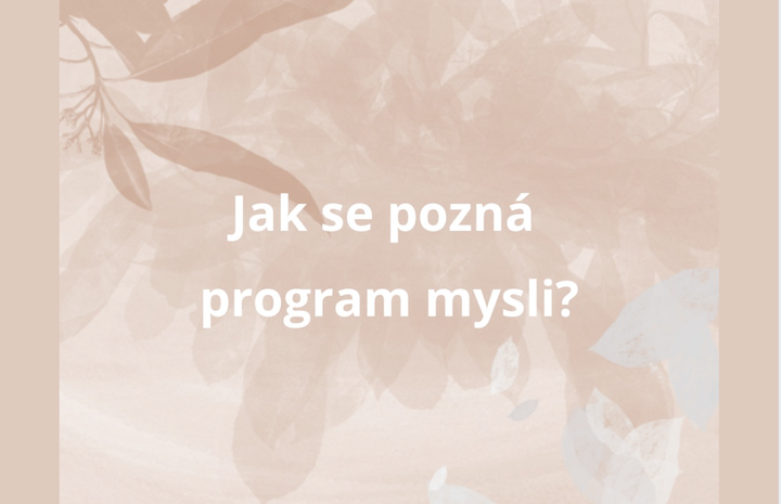 JAK SE POZNÁ PROGRAM MYSLI