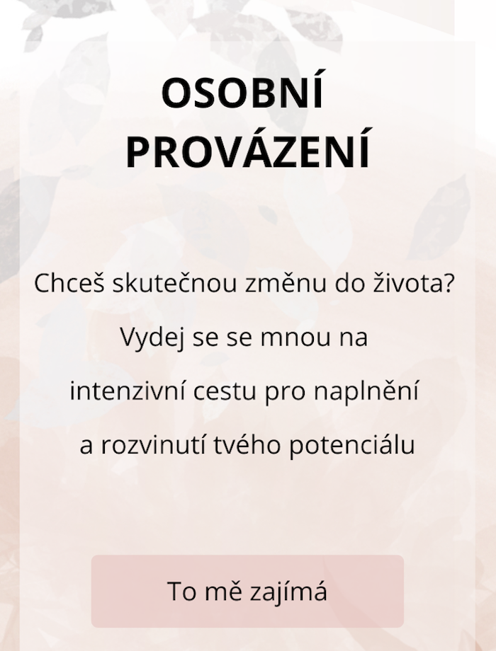 Provázení