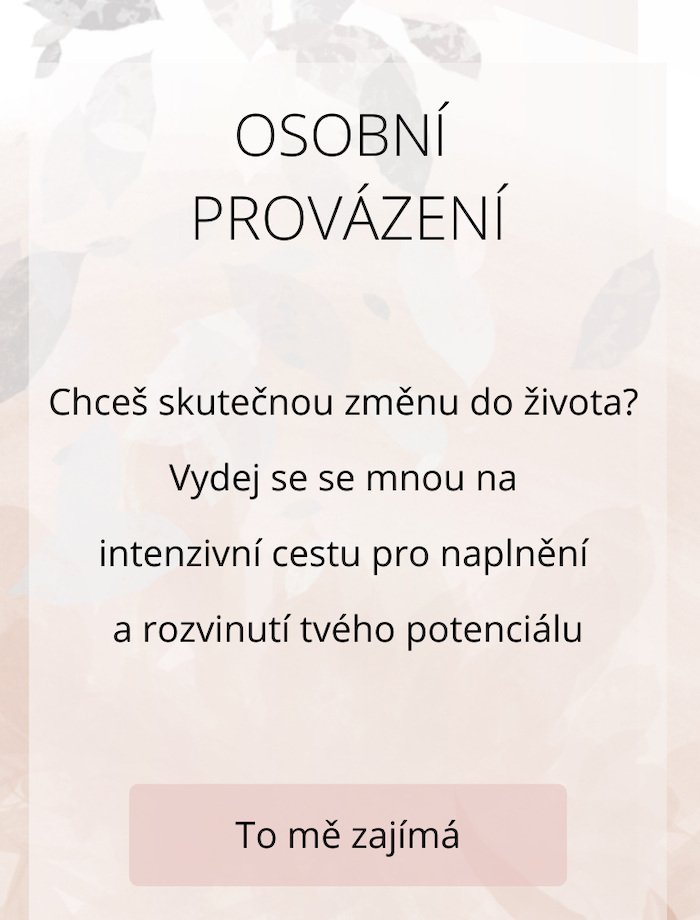 Provázení