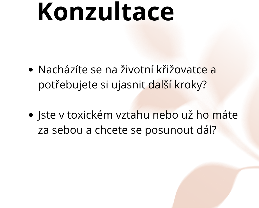 KonzultaceM-1