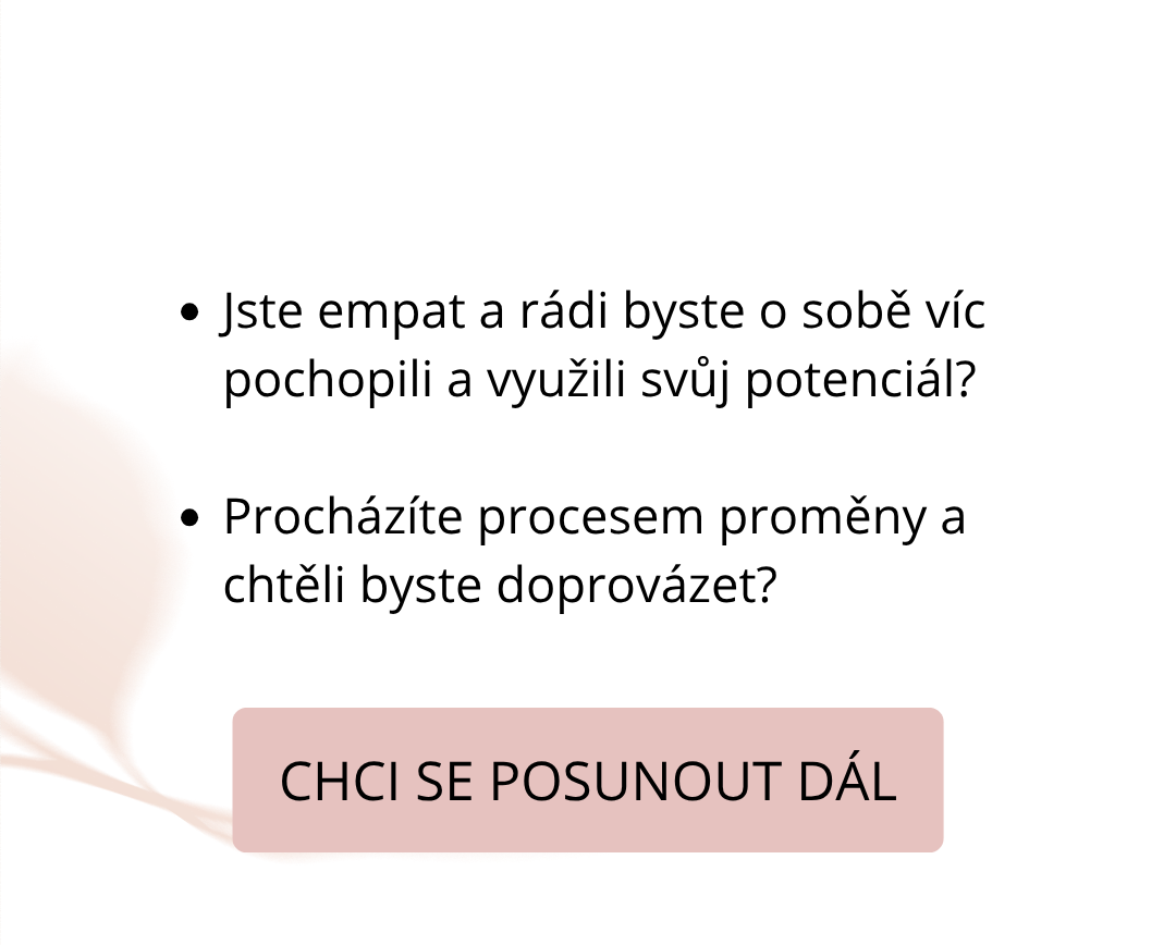 KonzultaceM-2