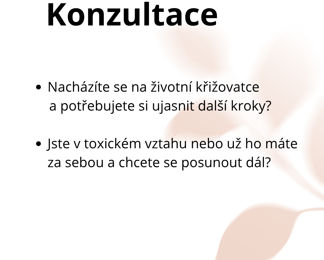 konzultace-titulní