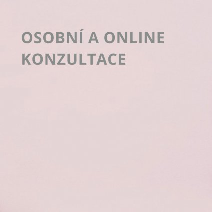 KONZULTACE