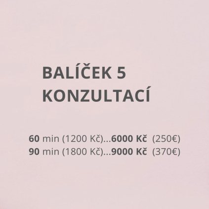 KONZULTACE 5
