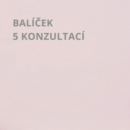 KONZULTACE