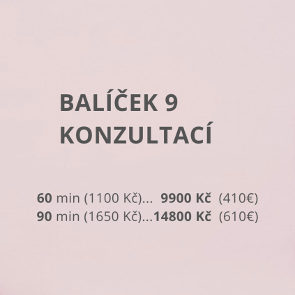 KONZULTACE 9