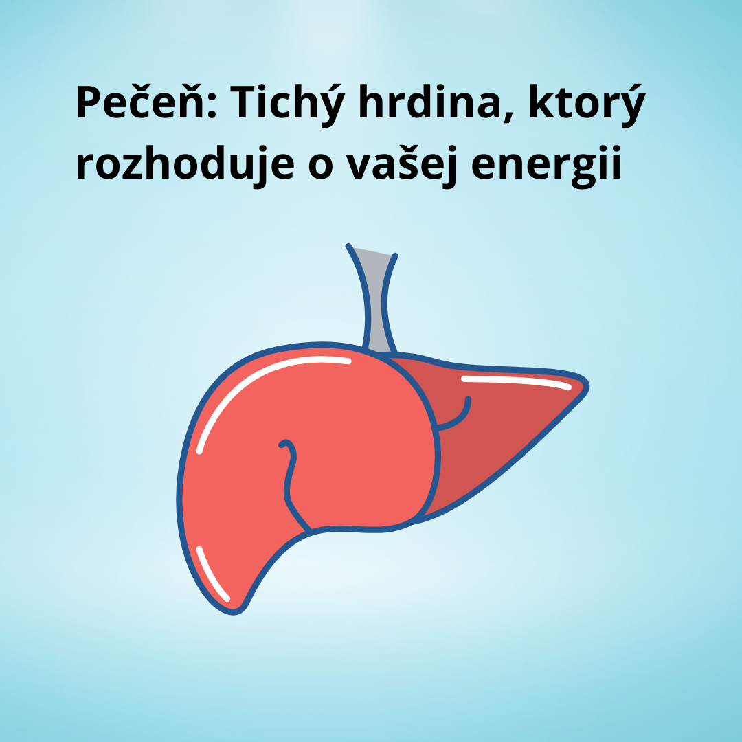 Pečeň: Tichý hrdina, ktorý rozhoduje o vašej energii