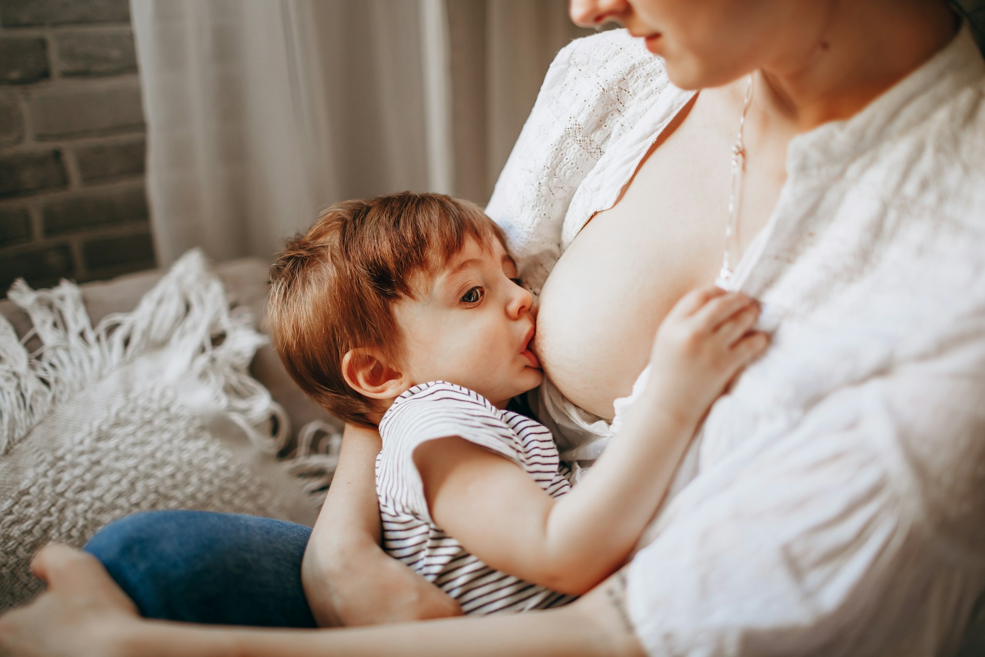Vše, co potřebujete vědět o kojení