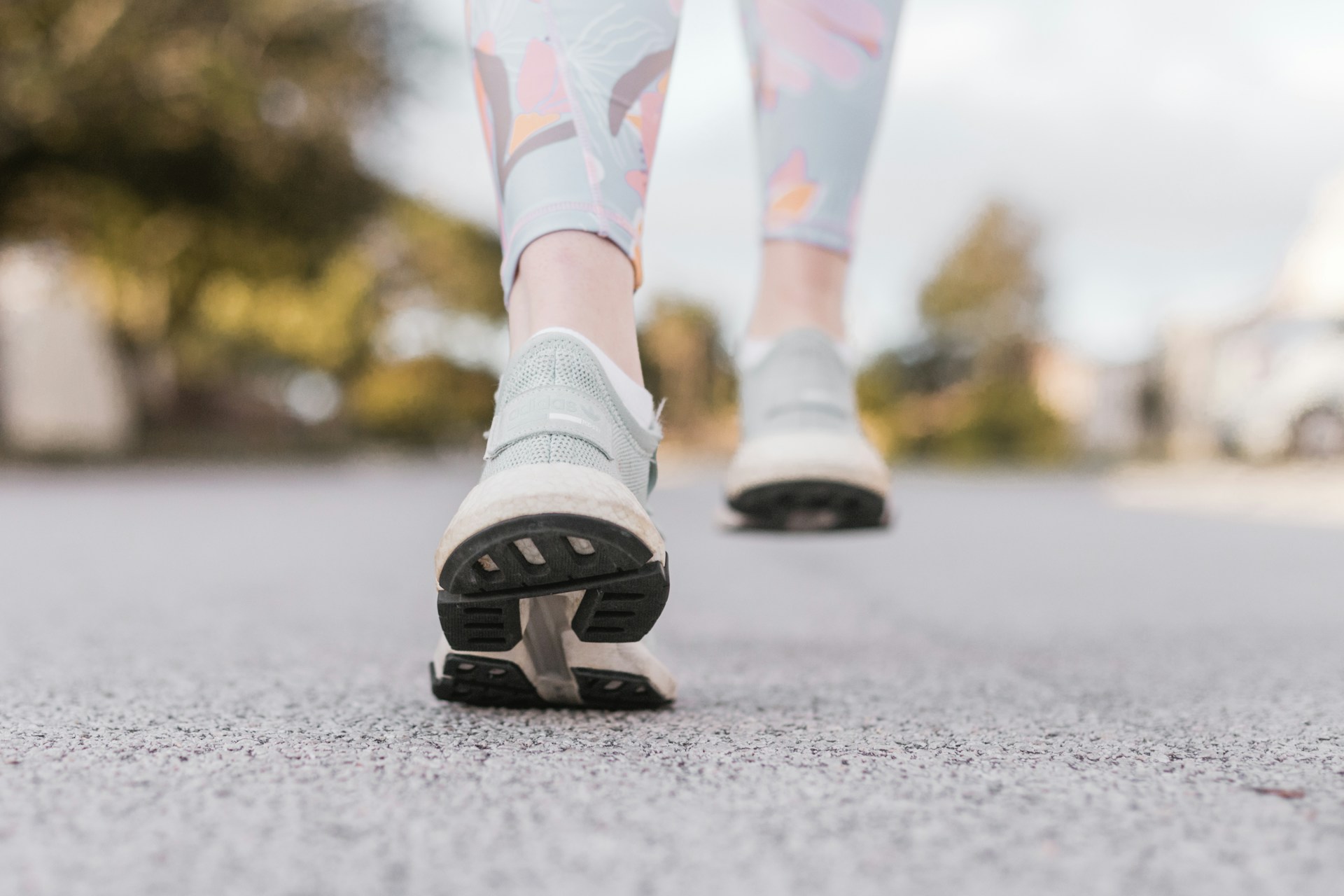 nordic-walking